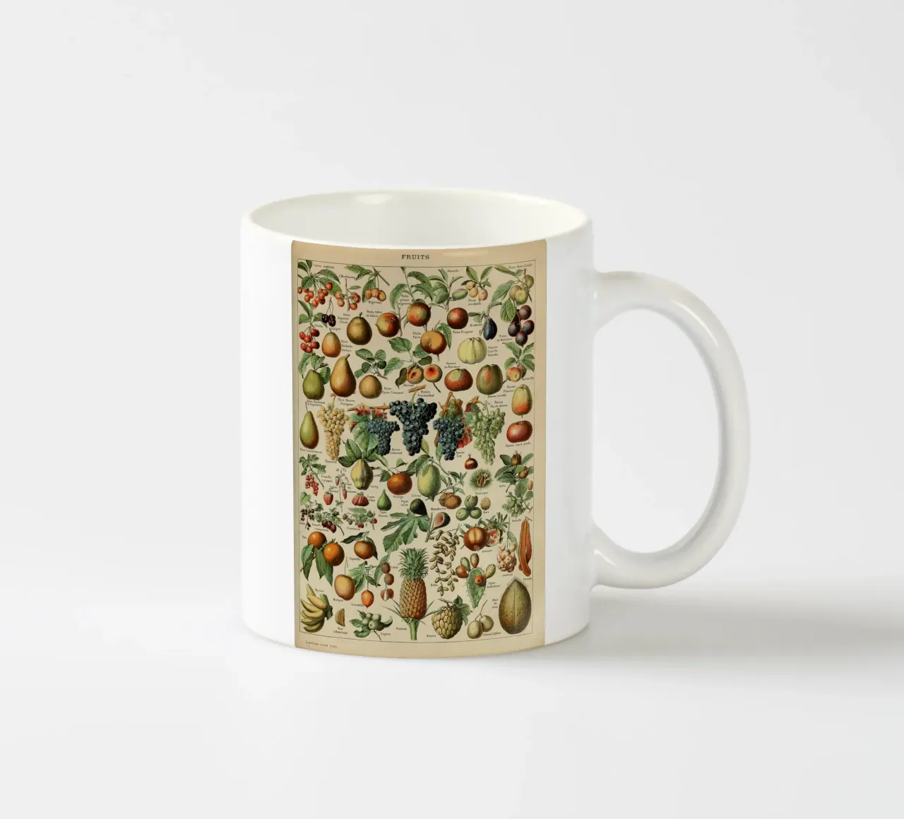 mele pere uva limoni frutta tazza in ceramica da Graham Robertson