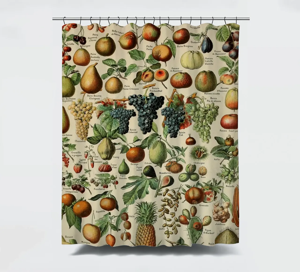 mele pere uva limoni frutta tenda da doccia da Graham Robertson