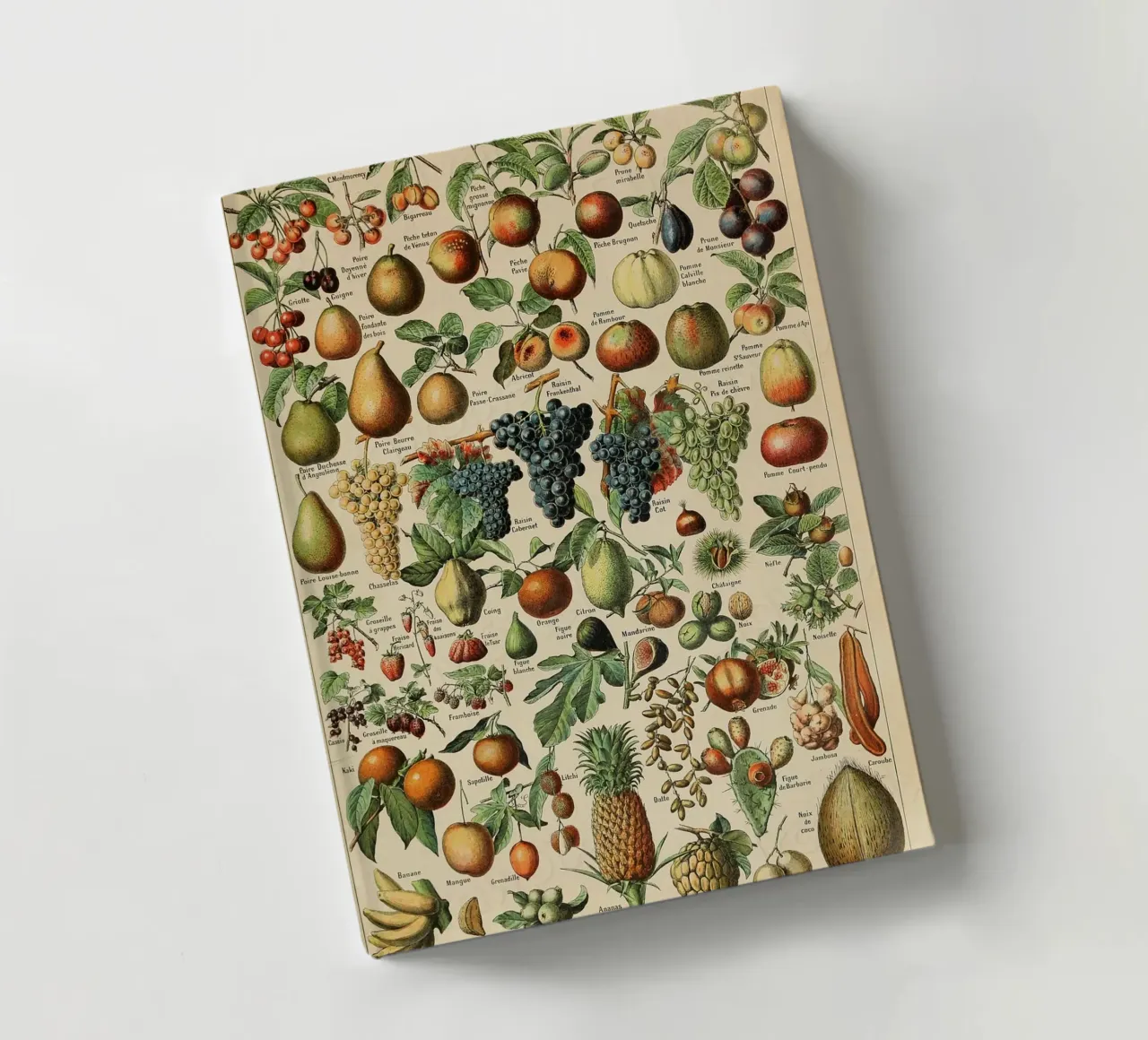 mele pere uva limoni frutta diario da Graham Robertson
