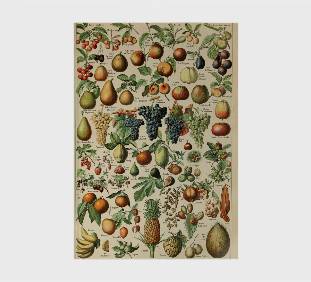 mele pere uva limoni frutta diario da Graham Robertson