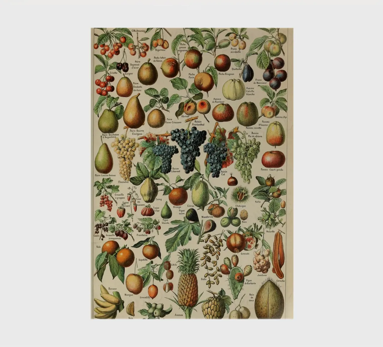 mele pere uva limoni frutta diario da Graham Robertson