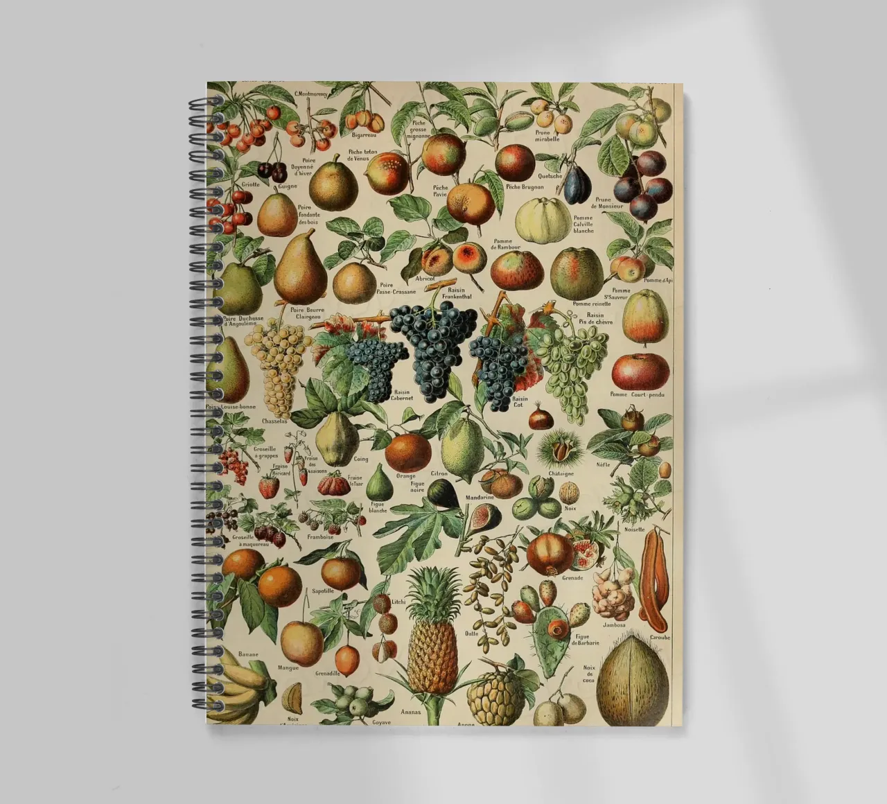 mele pere uva limoni frutta diario ad anelli da Graham Robertson