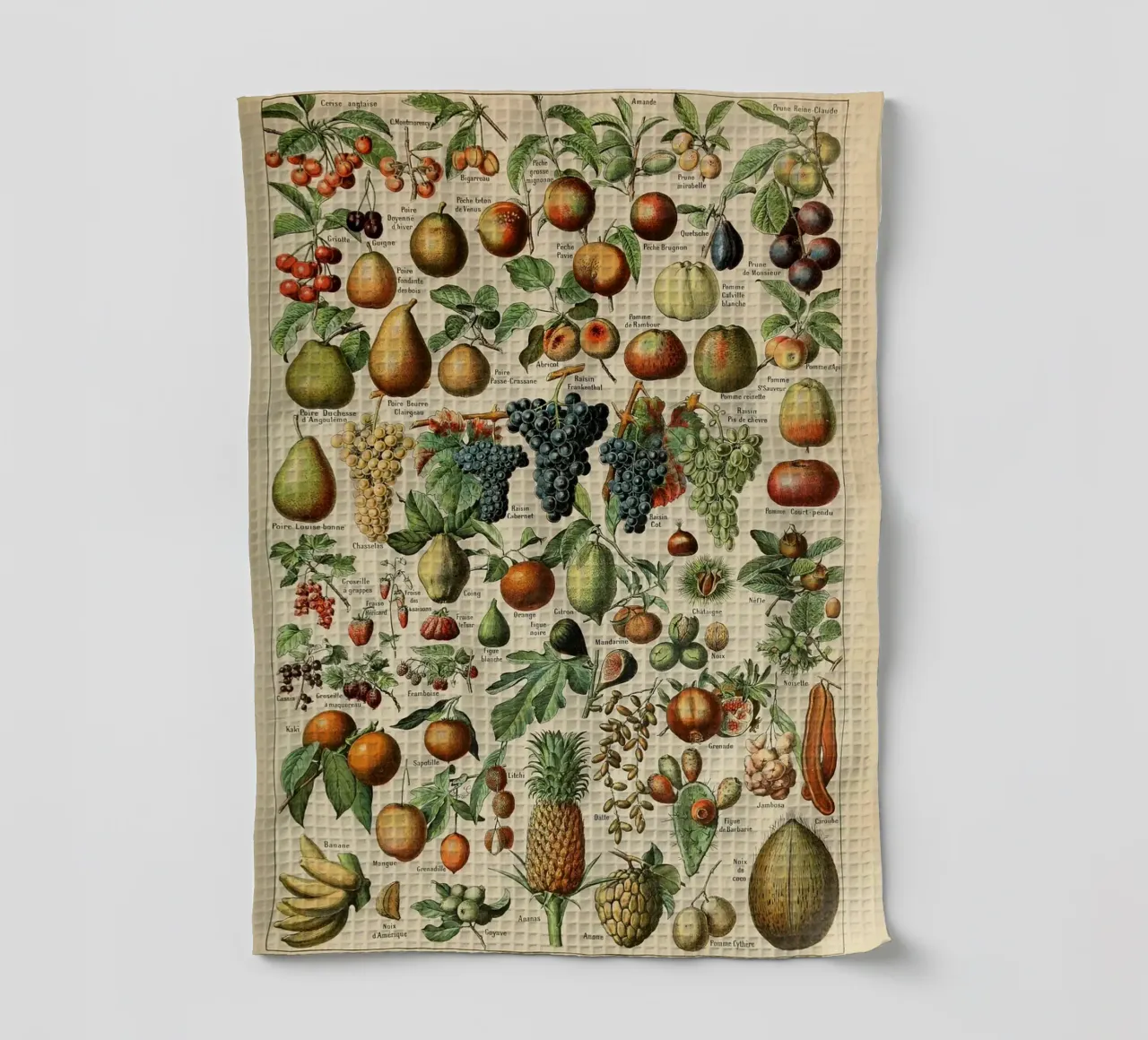 mele pere uva limoni frutta canovaccio da cucina da Graham Robertson