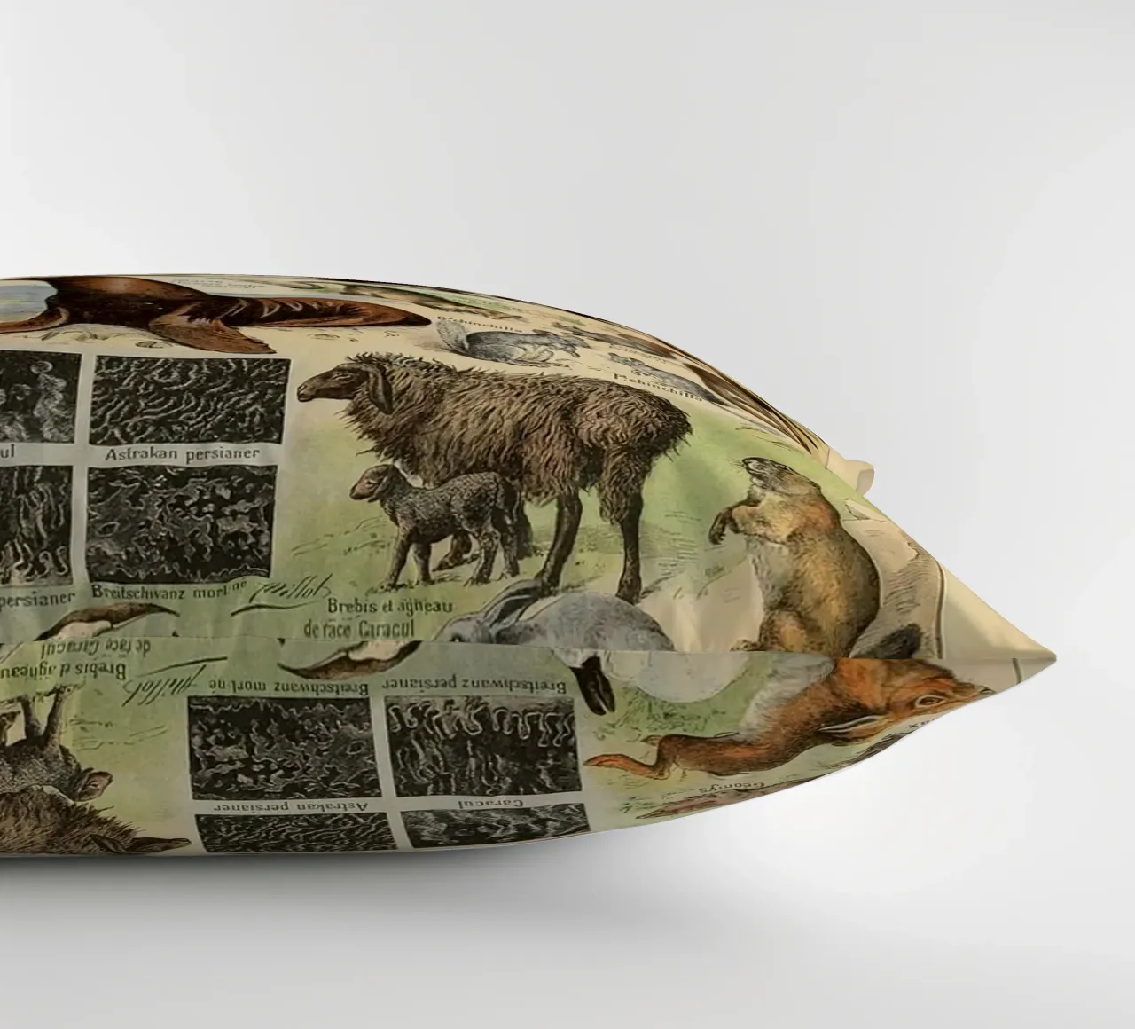 volpe lupo ocelot martora scoiattolo cuscino da Graham Robertson