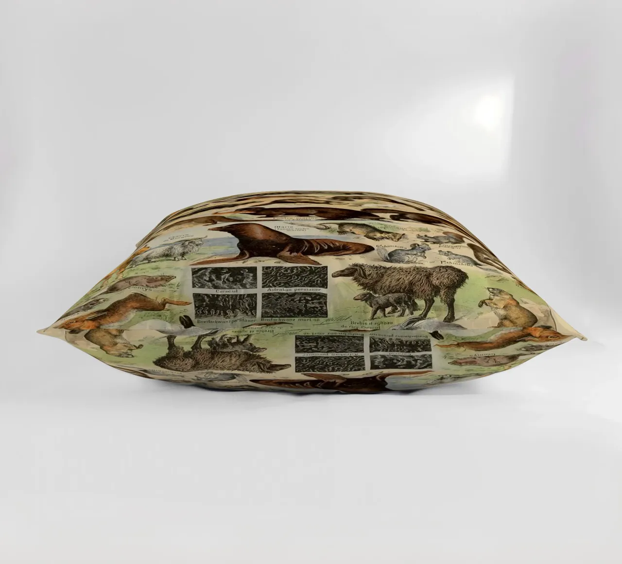 volpe lupo ocelot martora scoiattolo cuscino da Graham Robertson