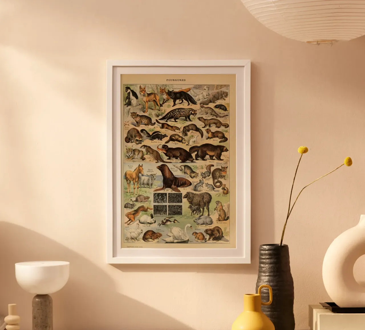 volpe lupo ocelot martora scoiattolo poster con telaio in plastica da Graham Robertson