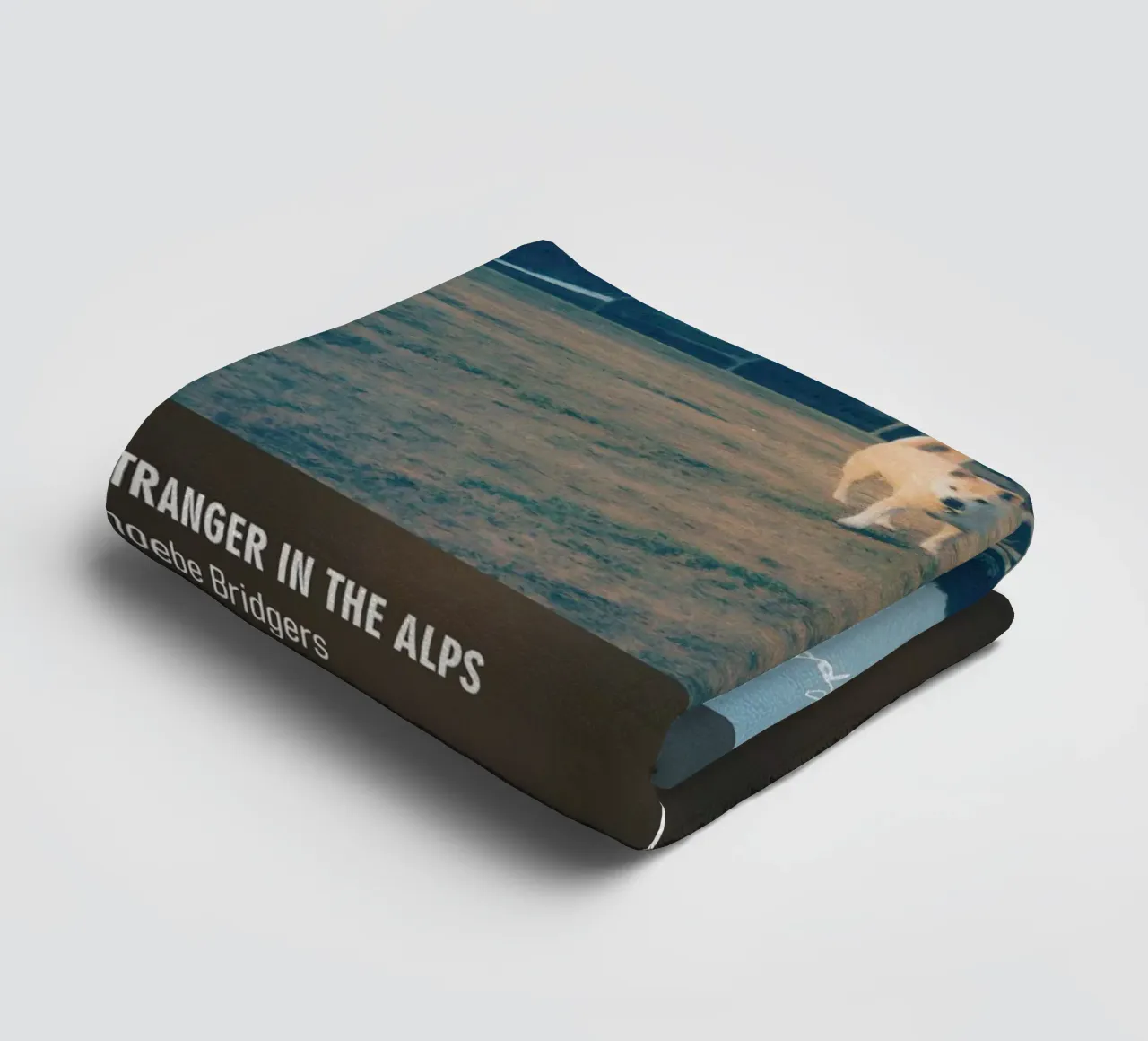 Stranger in the Alps (2017) by Phoebe Bridgers asciugamano da bagno da DGUnder