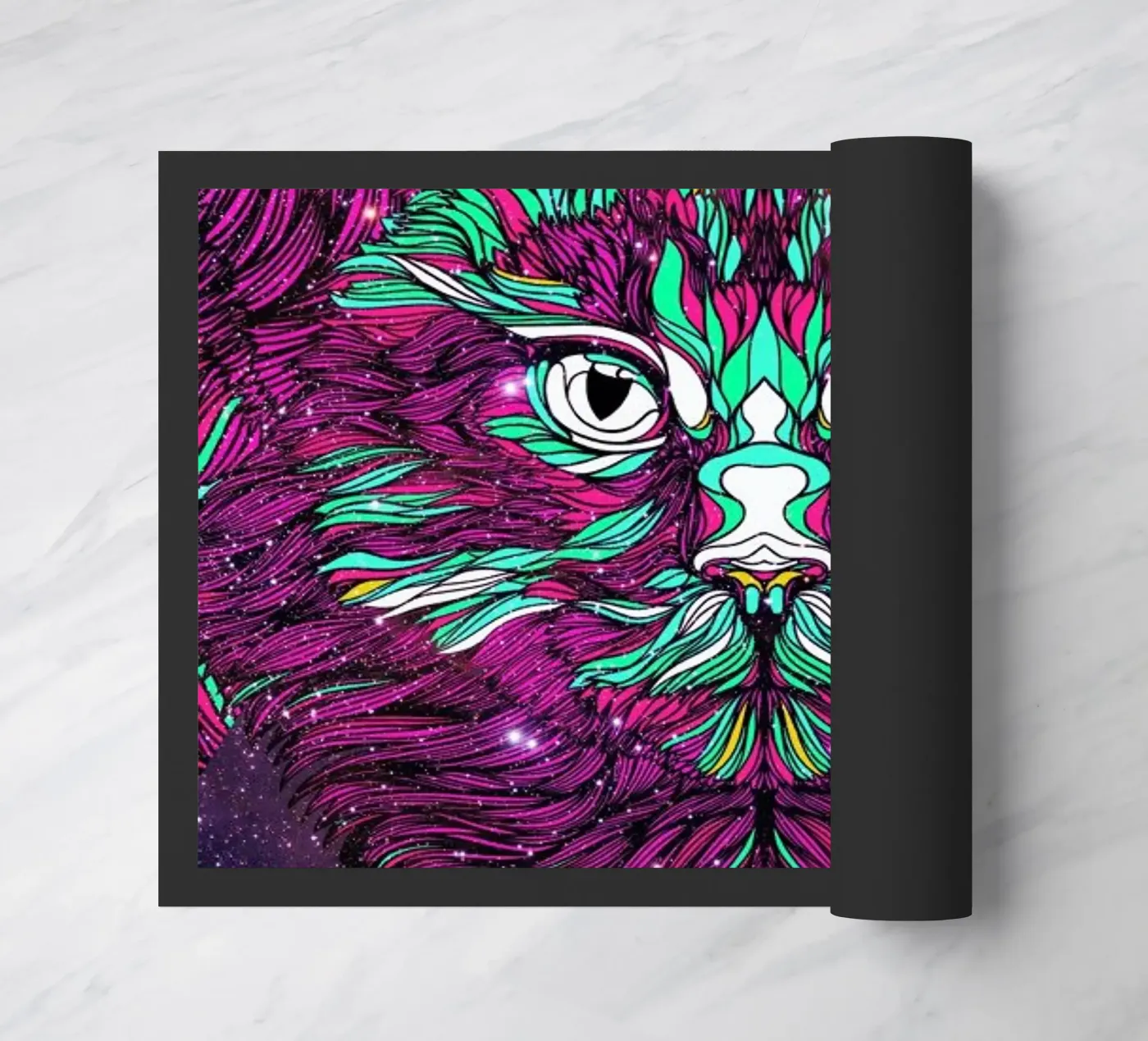 Space Cat doormat by Danny Ivan