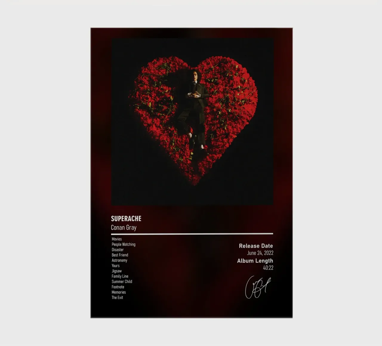 Superache (2022) by Conan Gray notebook by DGUnder