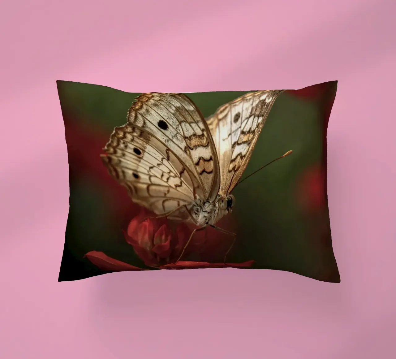 farfalla insetto cuscino da Earthly Visions
