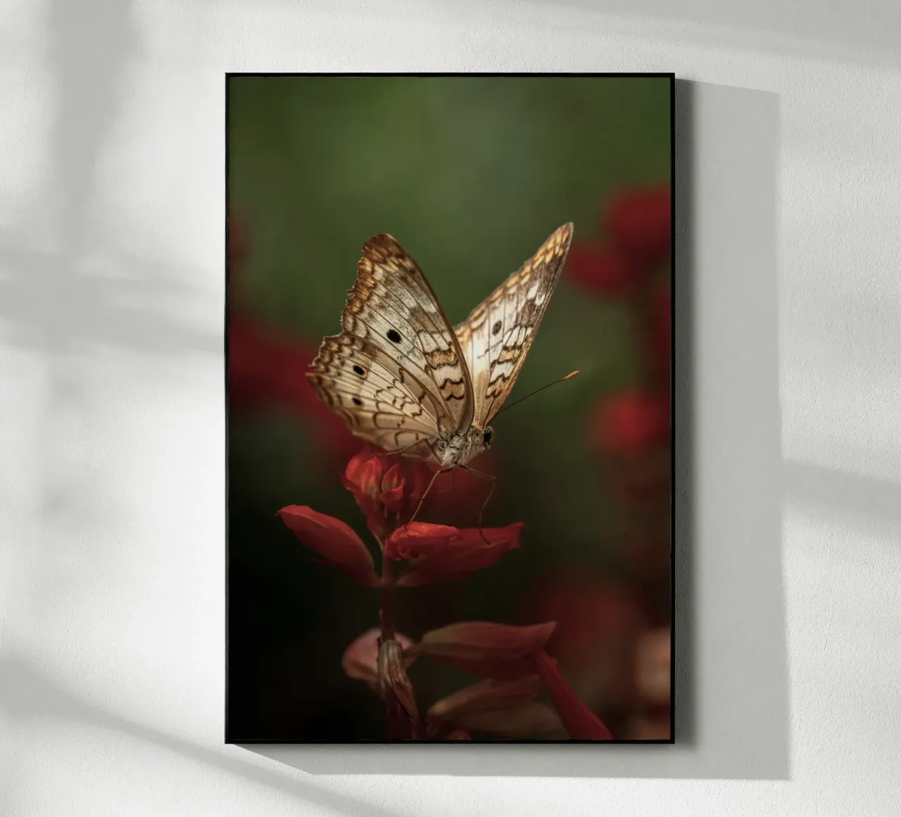 farfalla insetto plexiglass da Earthly Visions