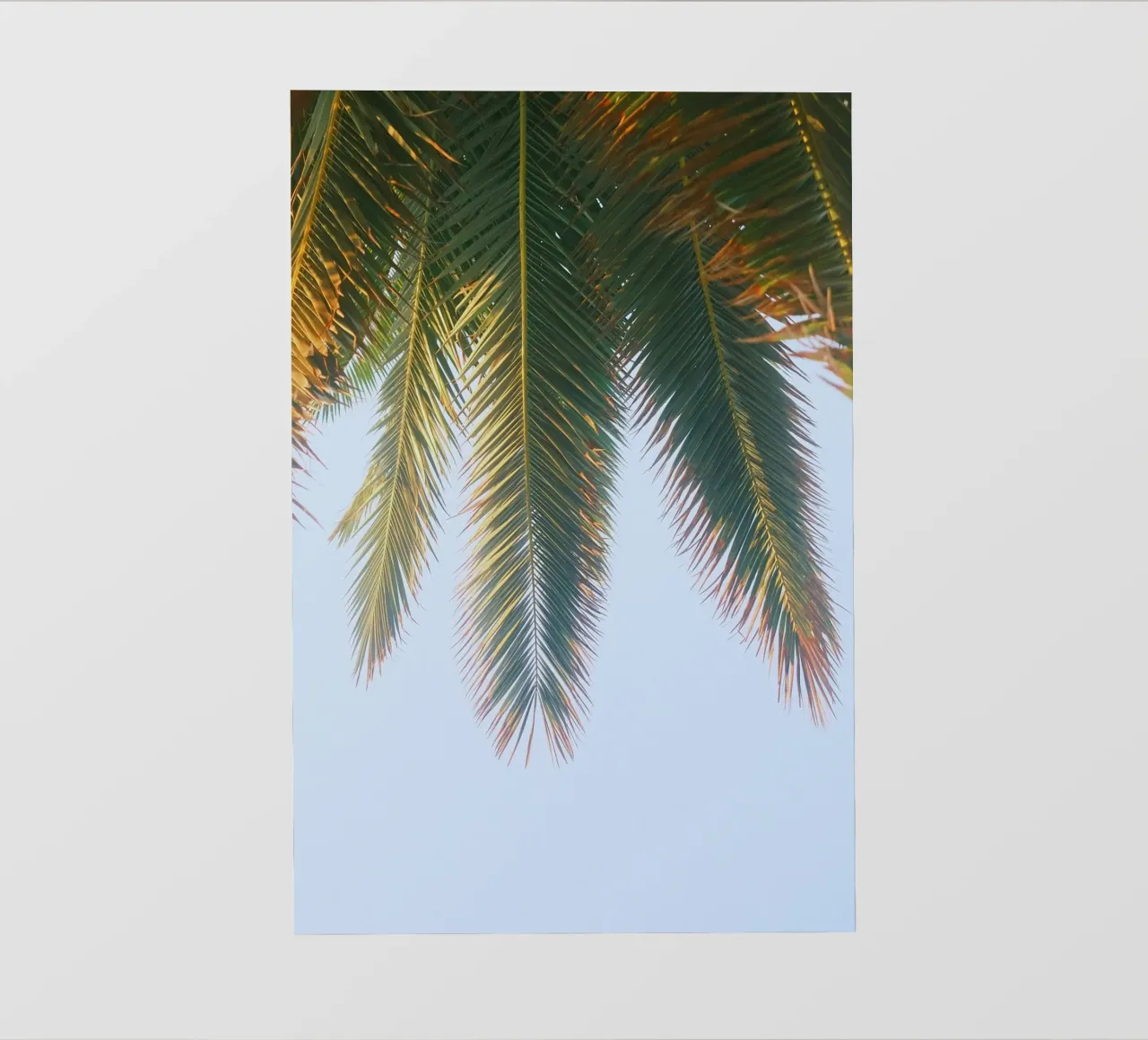 fronda di palma telo in pvc da Earthly Visions