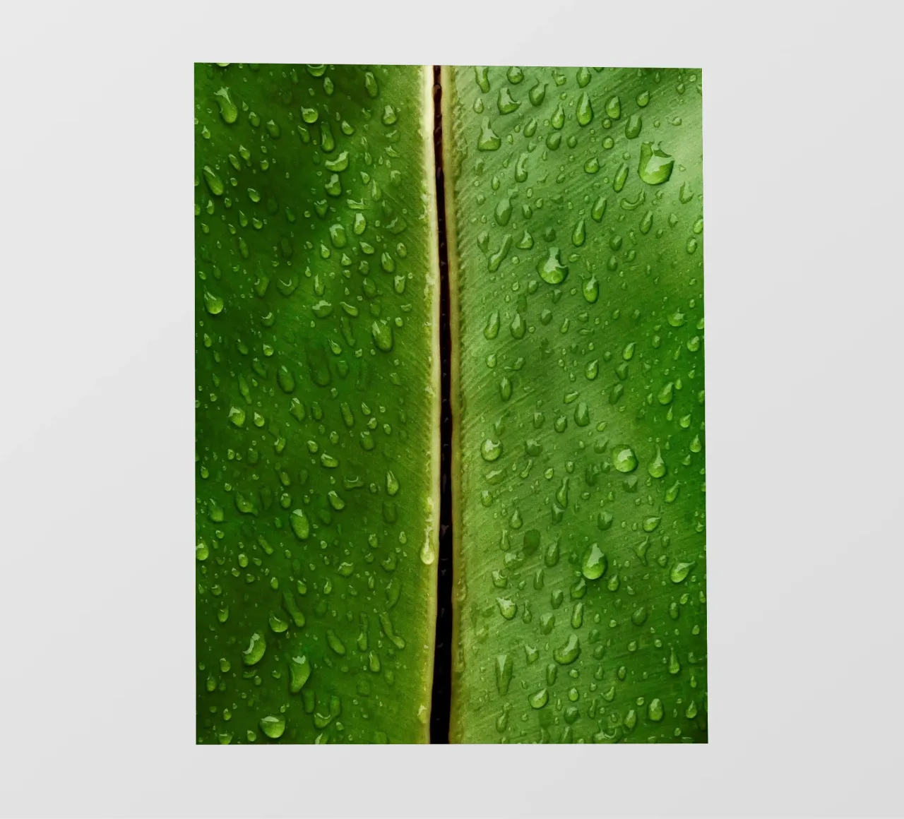 foglia di banana tropicale telo in pvc da Earthly Visions