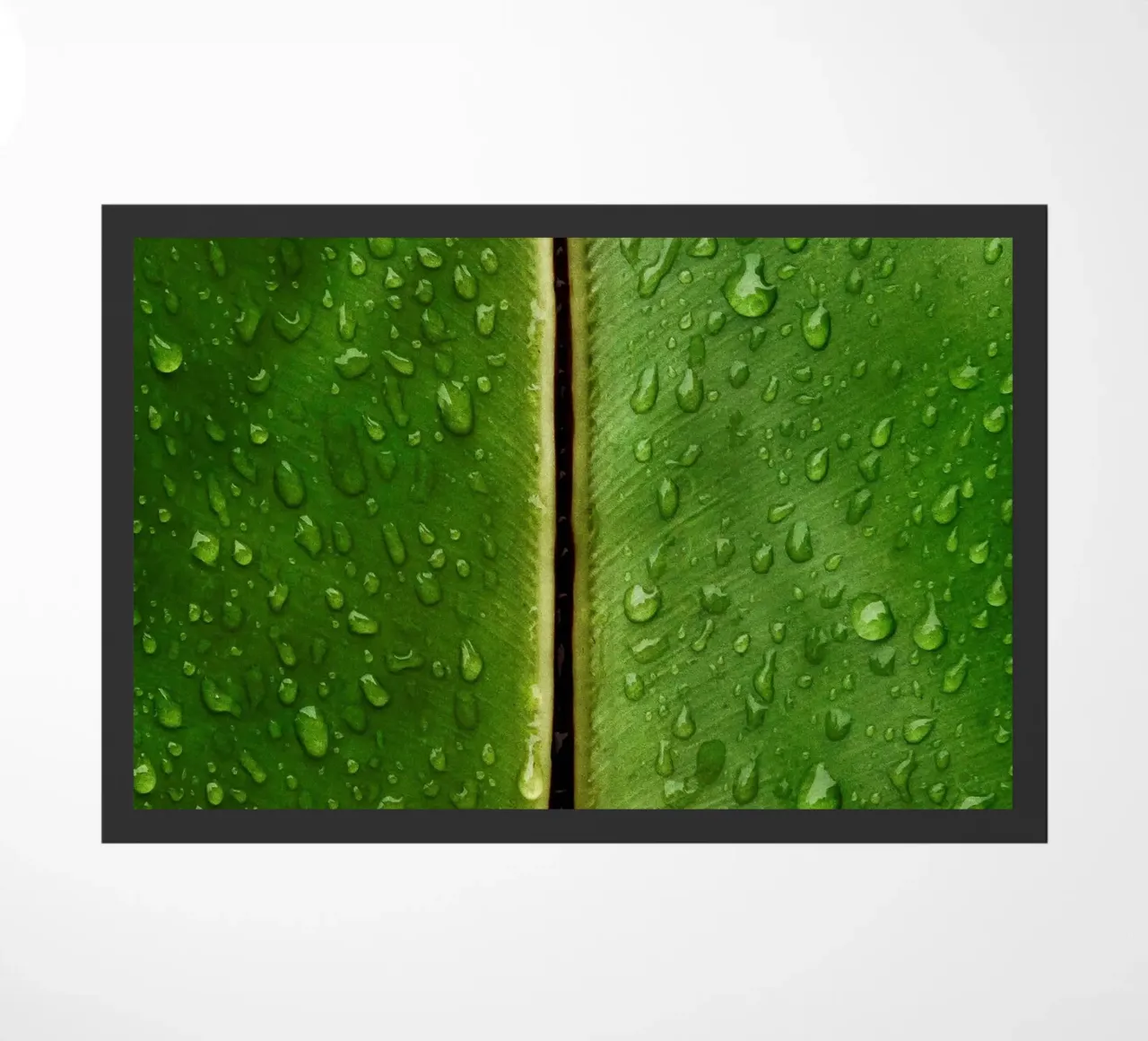 foglia di banana tropicale zerbino da Earthly Visions