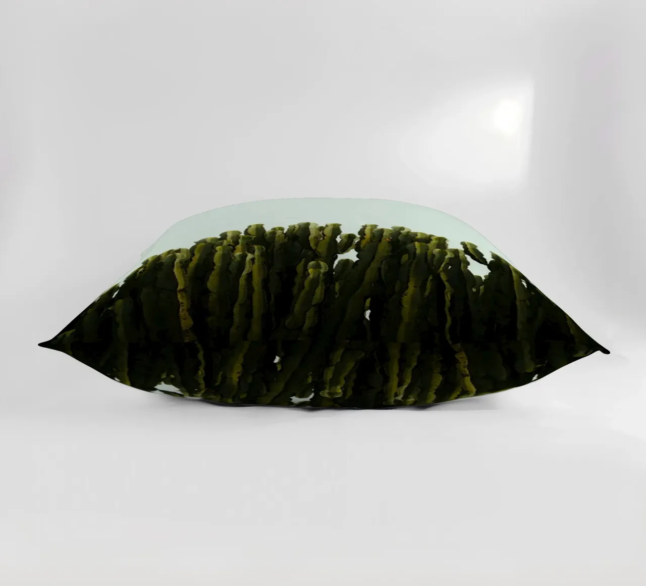 verde cactus cuscino da Earthly Visions