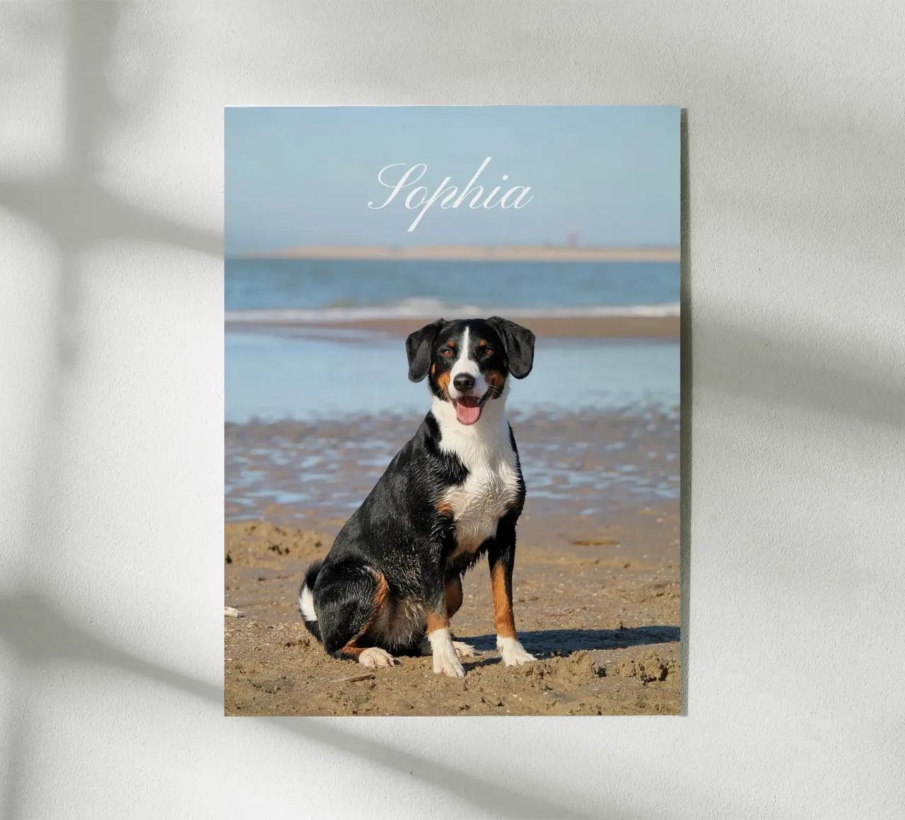 Custom Pet Dog Photo Custom Dog Name Pet name plexiglass da Custom4U