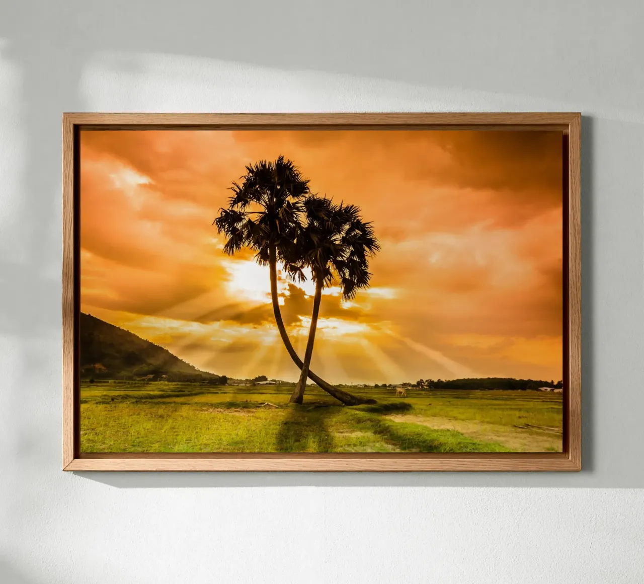 Whispers of Palm Trees canvas with Floater frame by PhotoVibe Decor