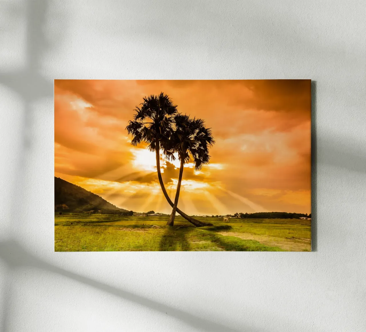 Whispers of Palm Trees canvas with Floater frame by PhotoVibe Decor