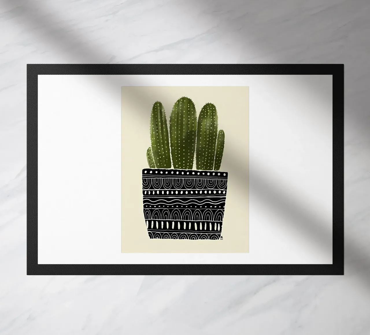 Cactus verde zerbino da Jose