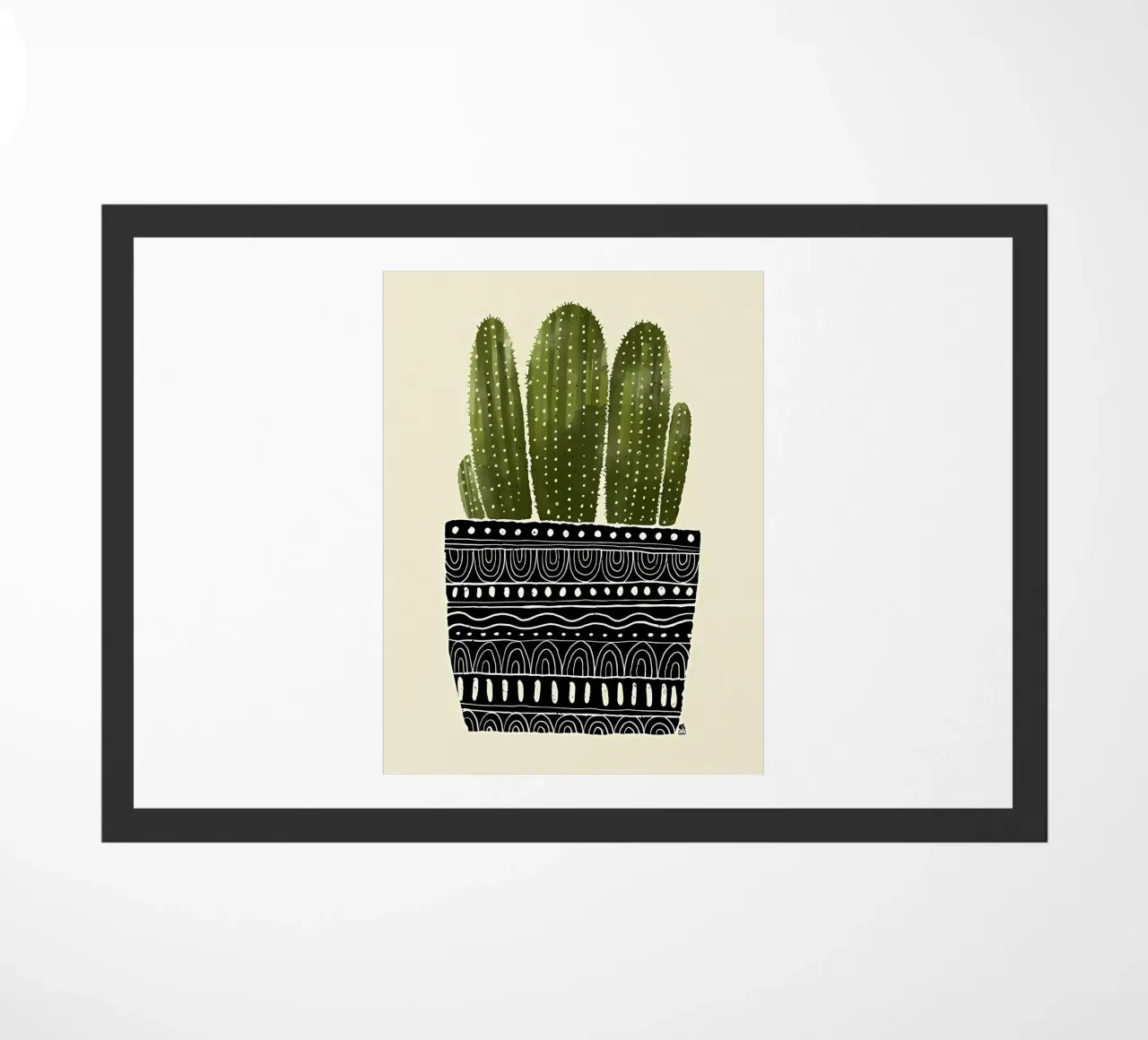 Cactus verde zerbino da Jose