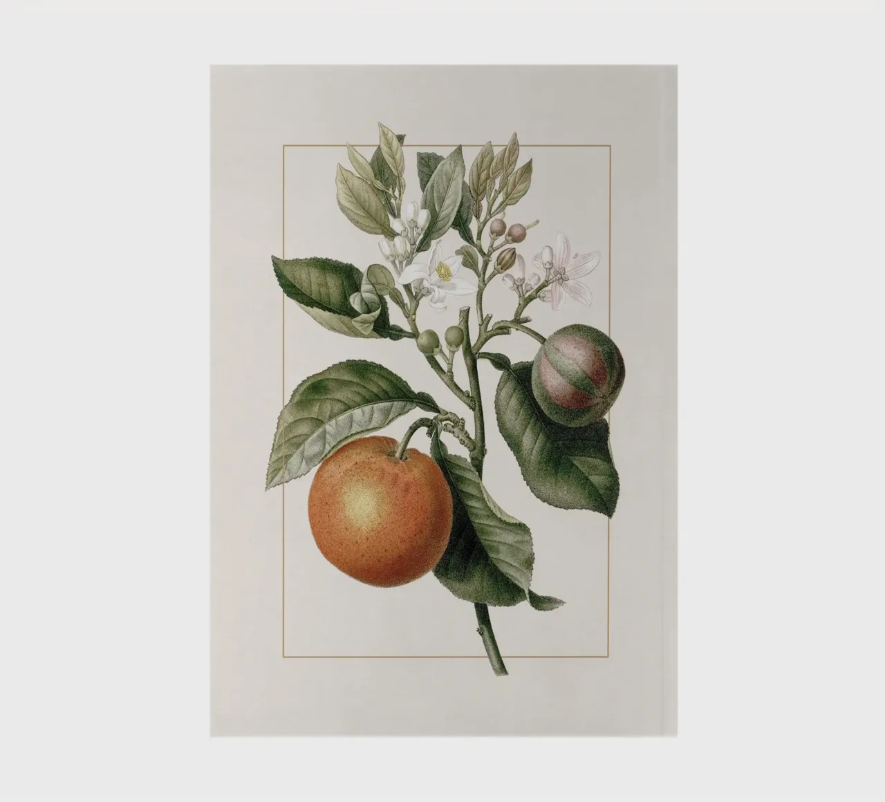 Orange Branch no. 3 notebook by apoloprints