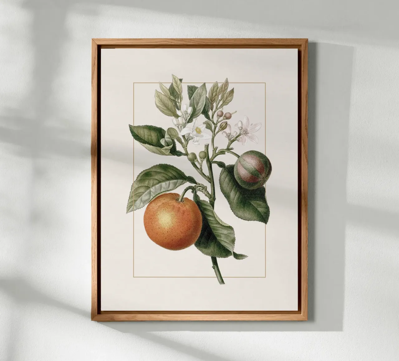Orange Branch no. 3 alluminio dibond da apoloprints