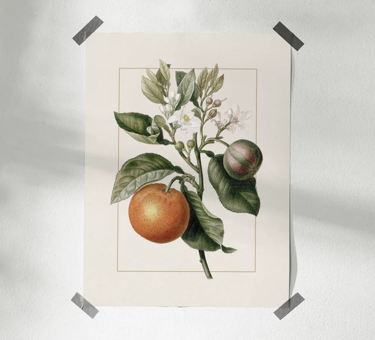 Orange Branch no. 3 carta hahnemühle da apoloprints