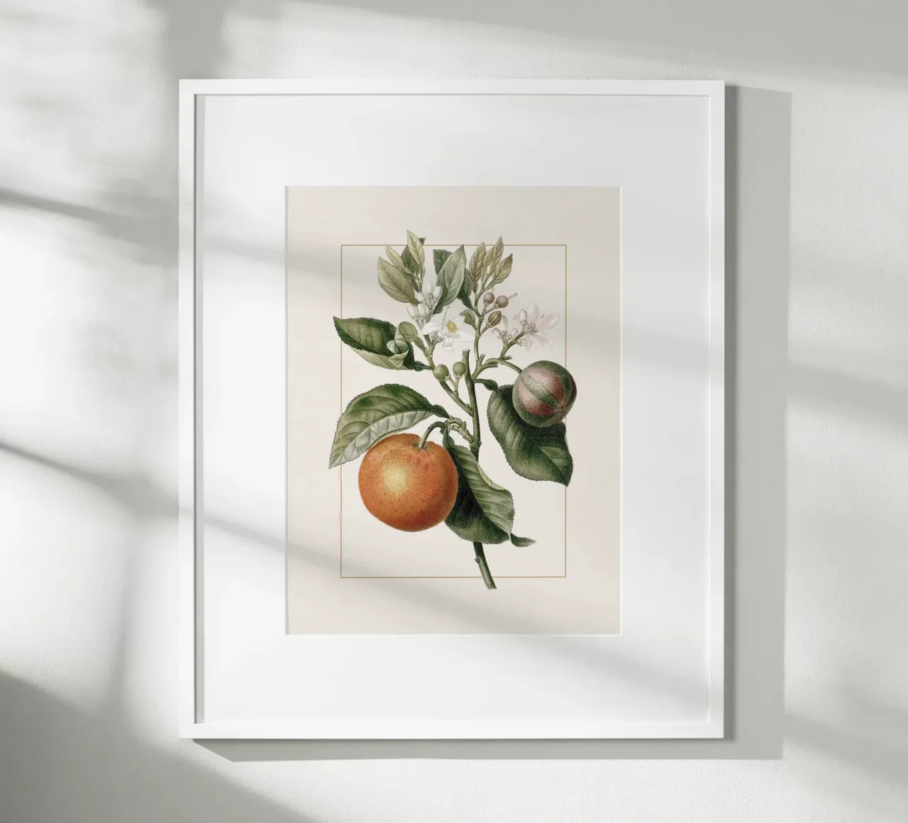 Orange Branch no. 3 carta hahnemühle da apoloprints