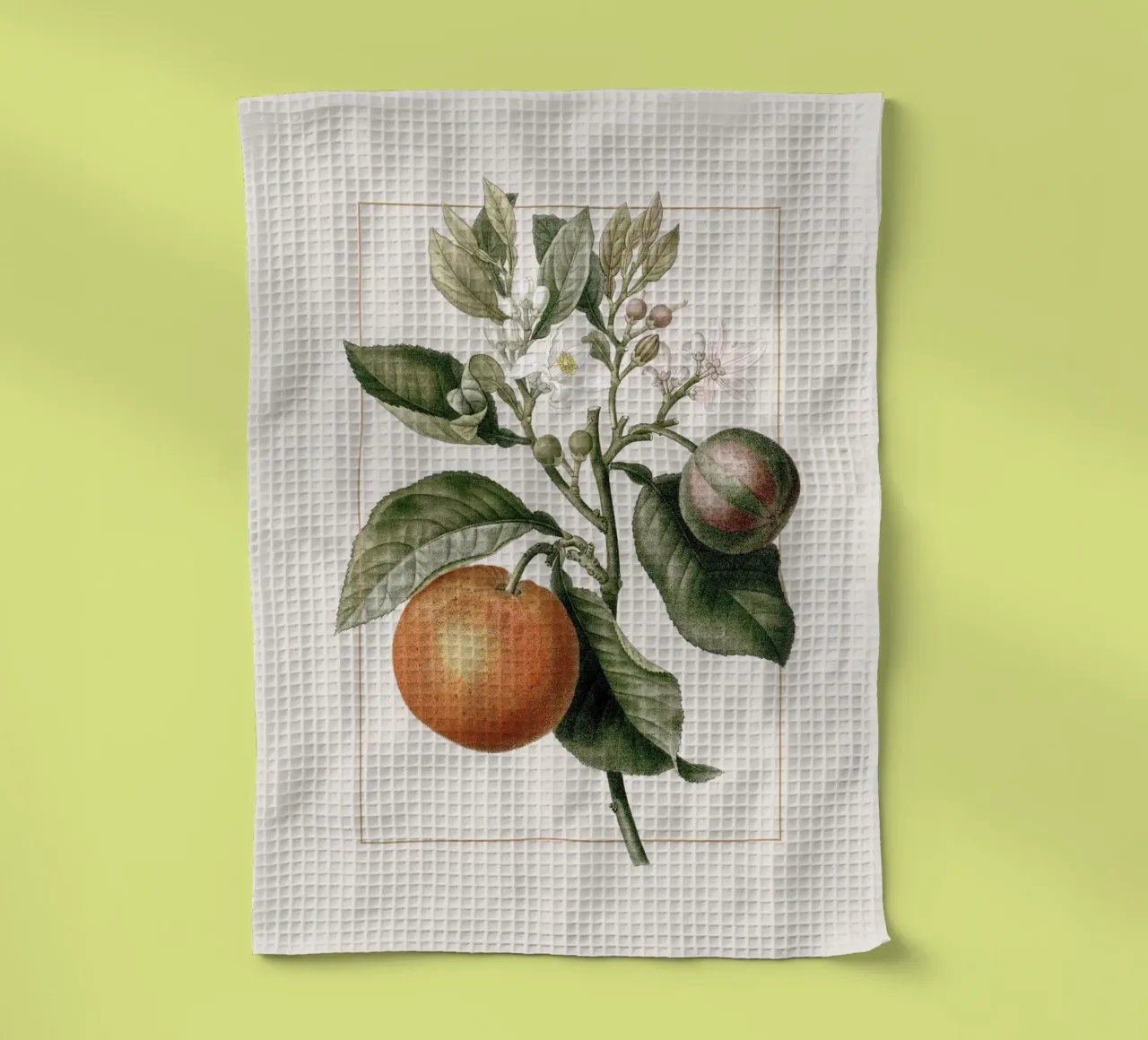 Orange Branch no. 3 canovaccio da cucina da apoloprints