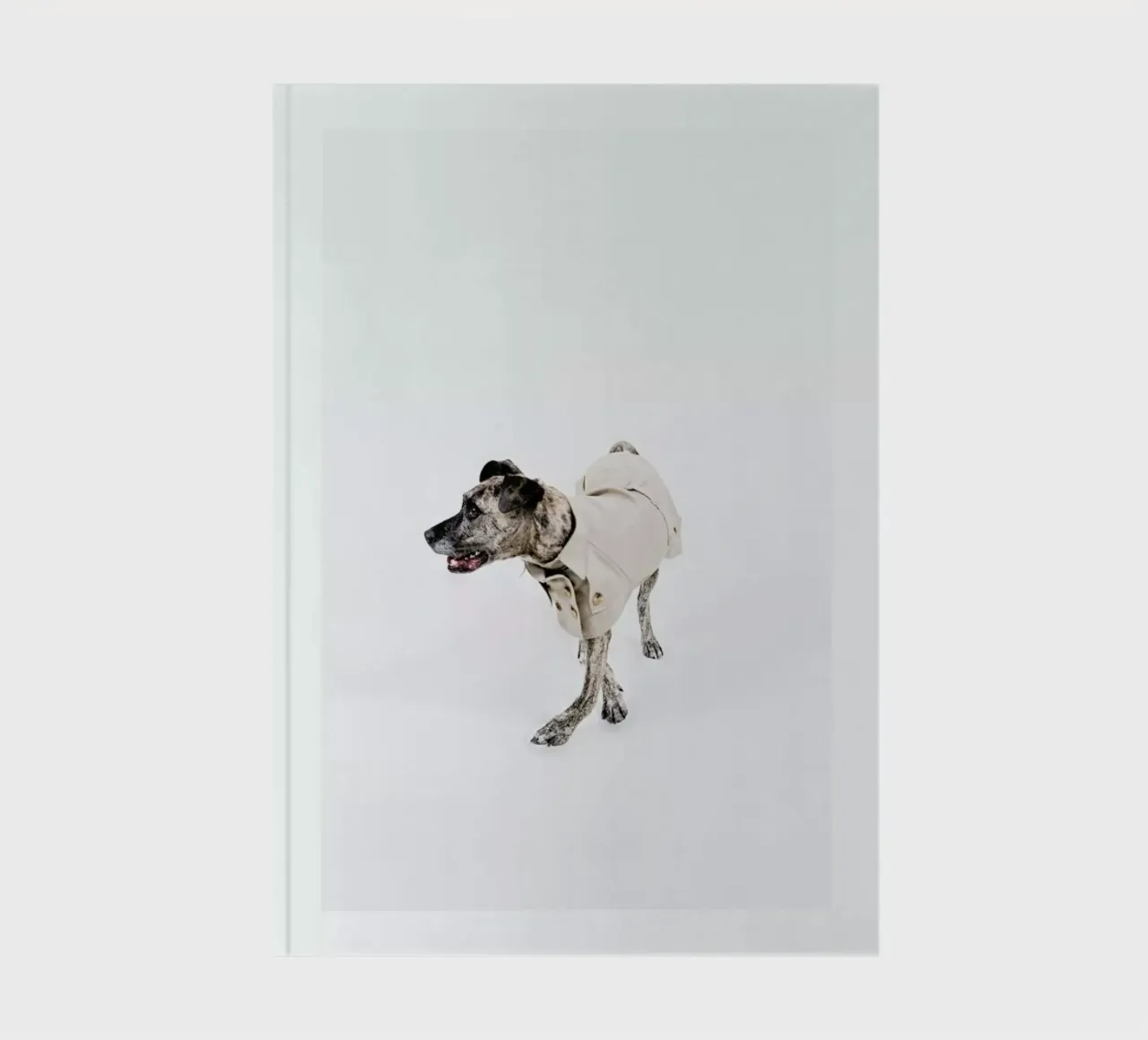 The Tailwaggers 3-2 notebook by Paul Aidan Perry