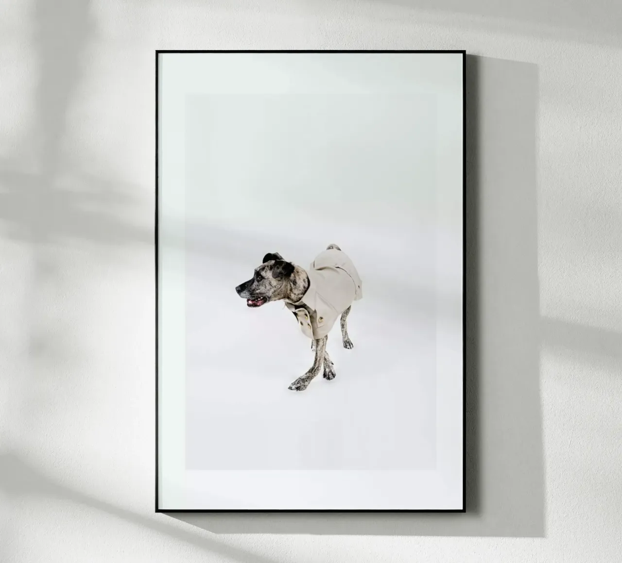 The Tailwaggers 3-2 plexiglass da Paul Aidan Perry