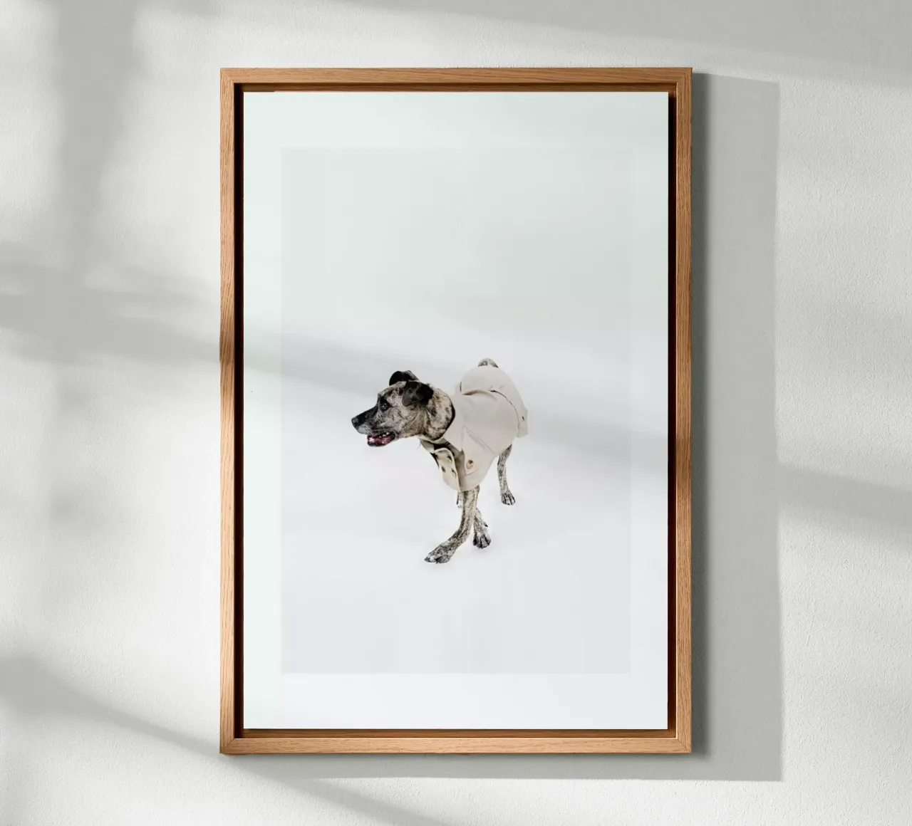 The Tailwaggers 3-2 tela con Cornice a cassetta da Paul Aidan Perry