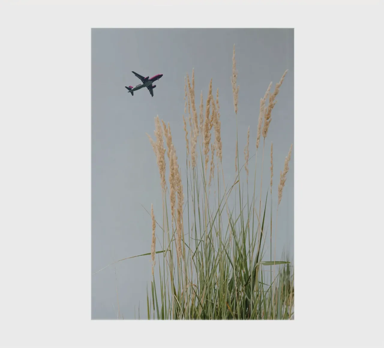 cloudless fly notebook by Creaton