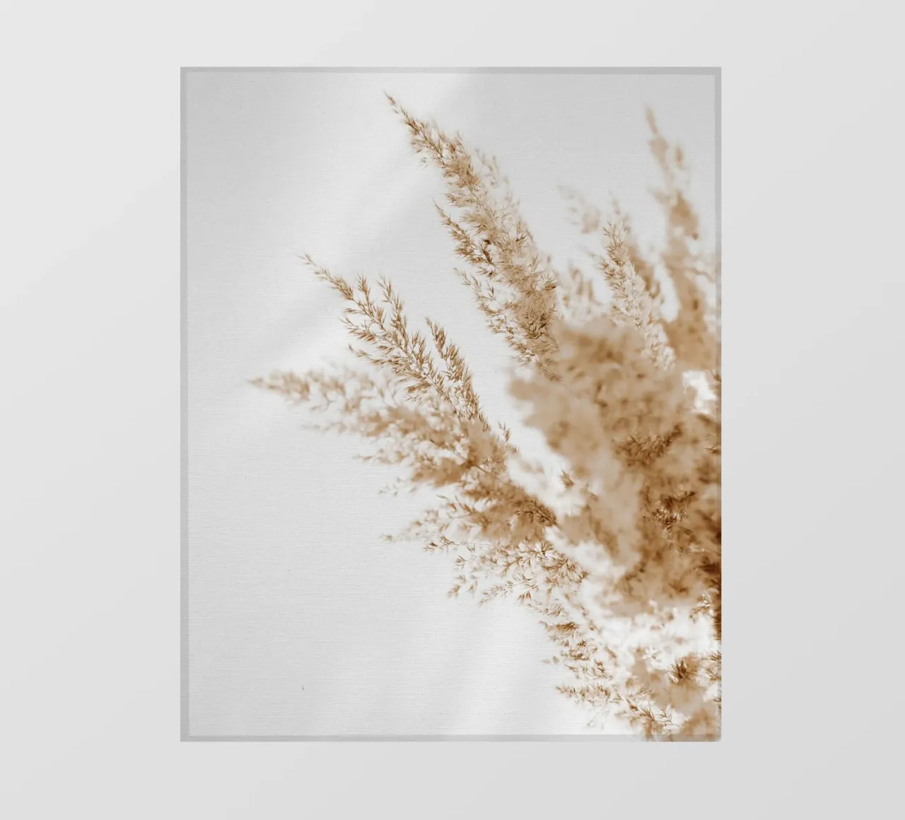 simplicity flora pellicola backlit da Creaton