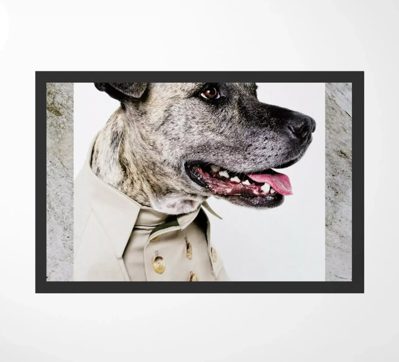 The Tailwaggers 3-3 zerbino da Paul Aidan Perry