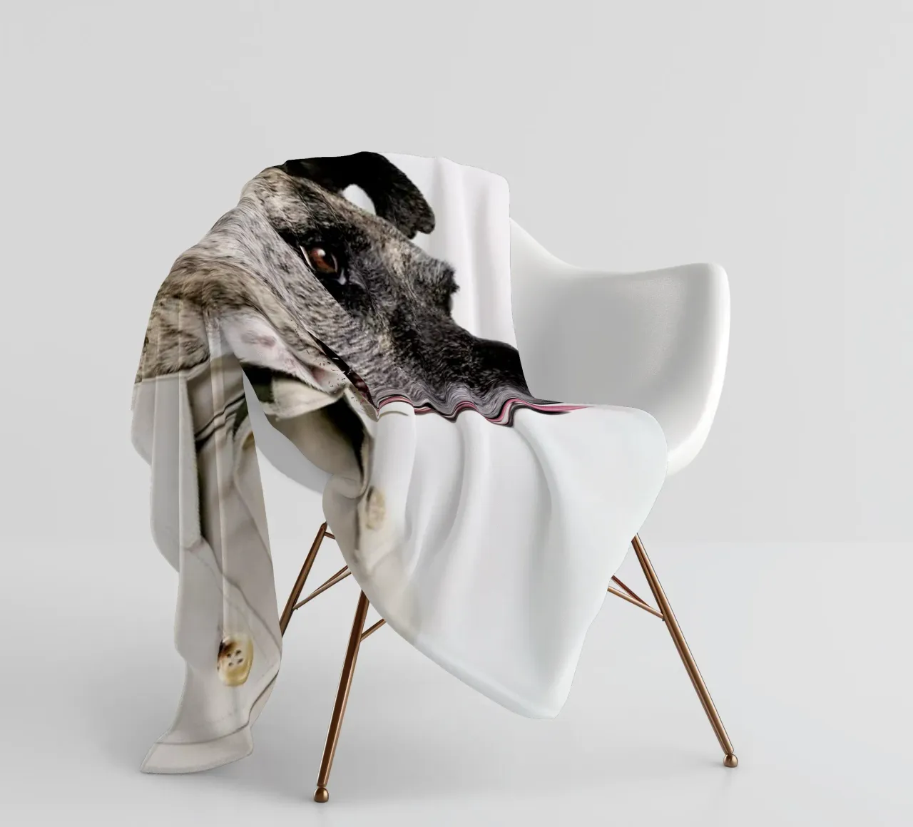 The Tailwaggers 3-3 coperta in pile da Paul Aidan Perry