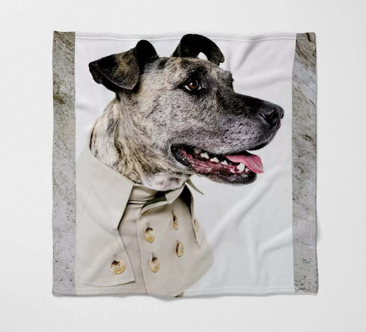 The Tailwaggers 3-3 coperta in pile da Paul Aidan Perry