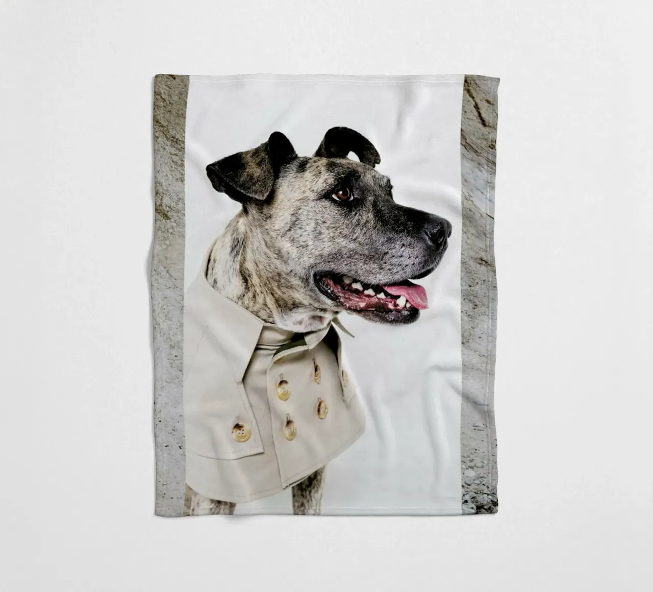 The Tailwaggers 3-3 coperta in pile da Paul Aidan Perry