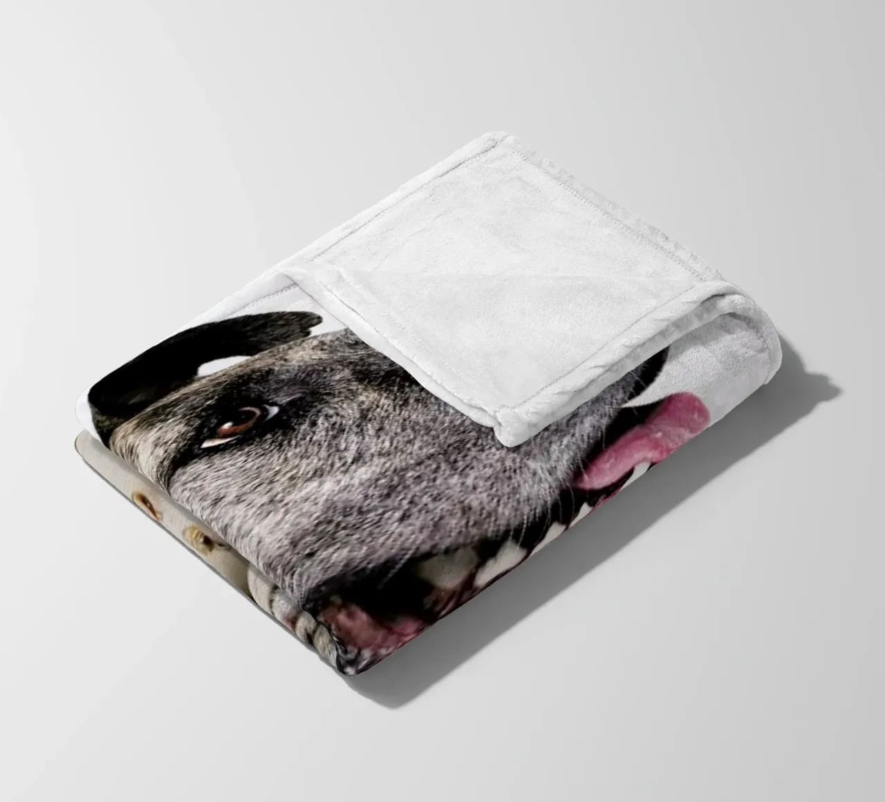 The Tailwaggers 3-3 coperta in pile da Paul Aidan Perry