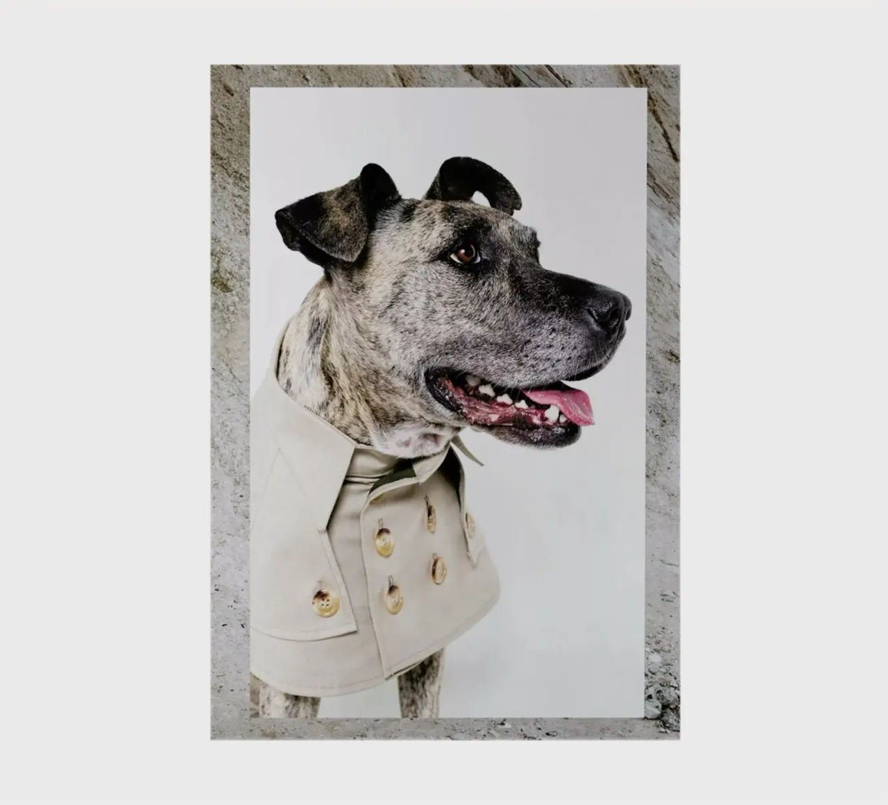 The Tailwaggers 3-3 notebook by Paul Aidan Perry