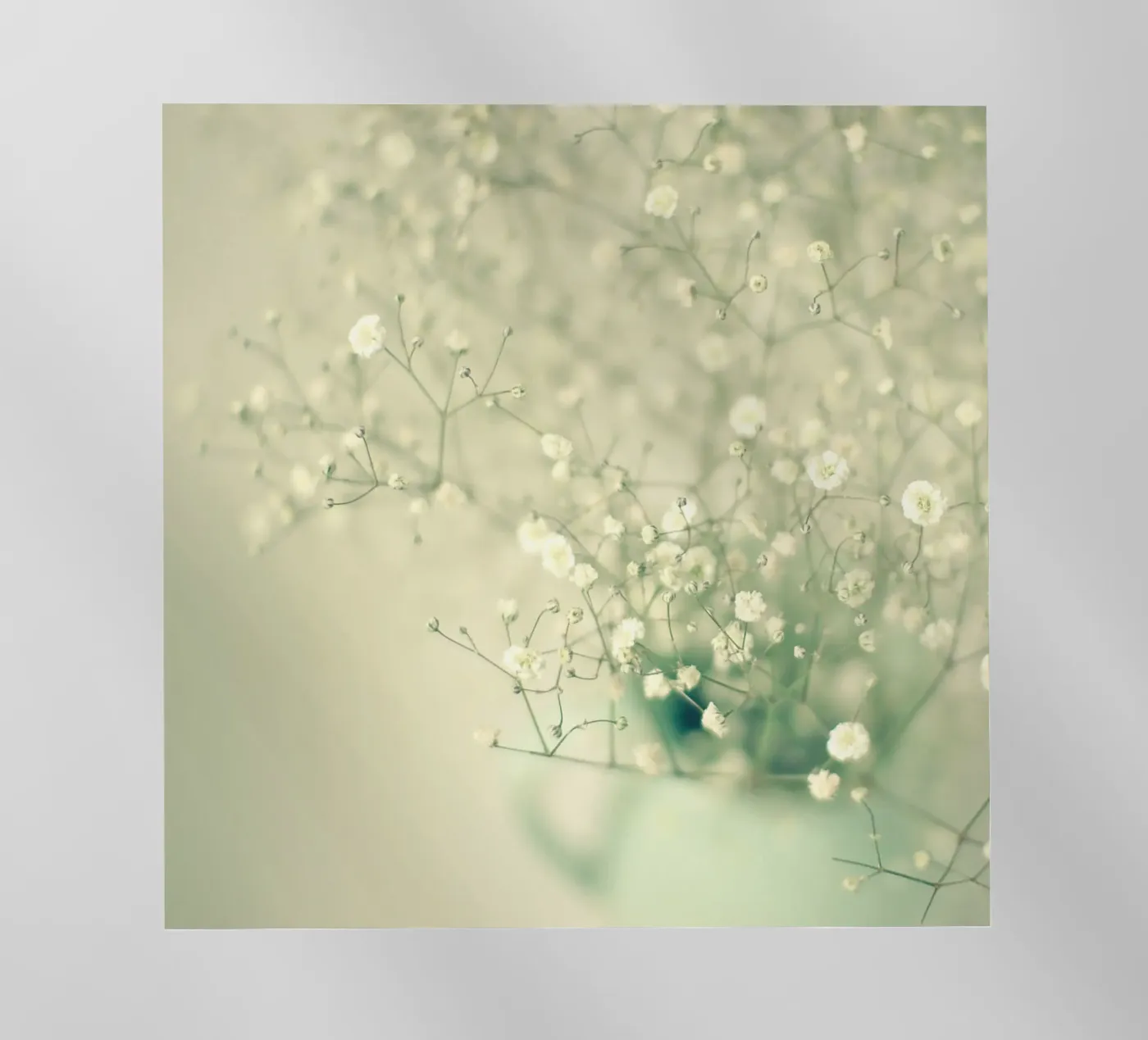 Delicate backlit folie van Cassia Beck Photography