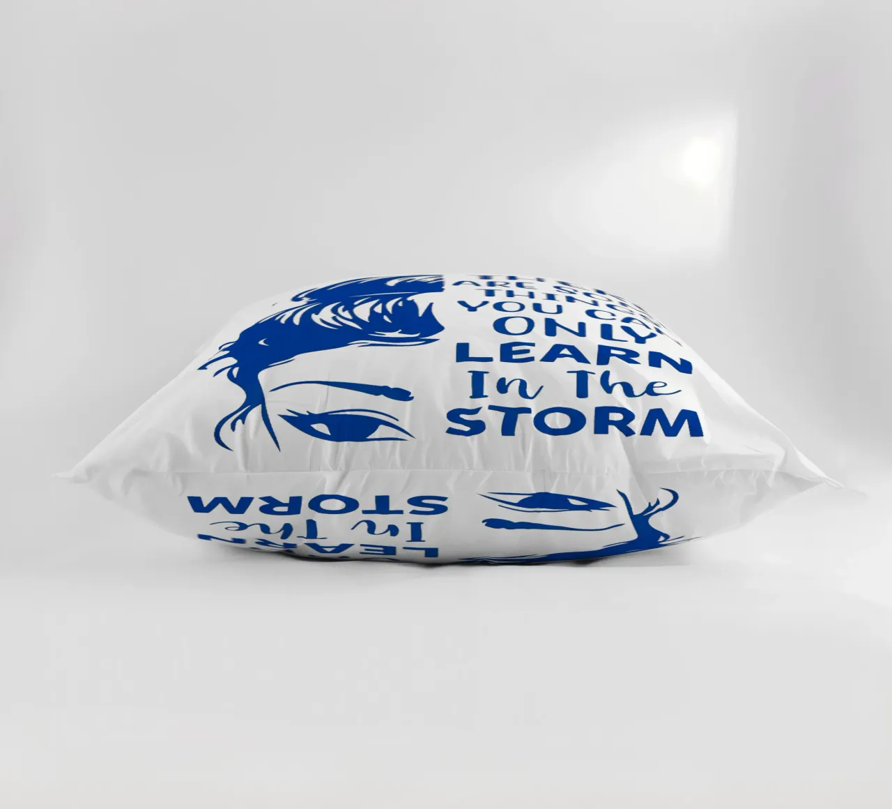 There are some things you can only learn in the storm decorative cushion by Whiskers & Ink Kreations