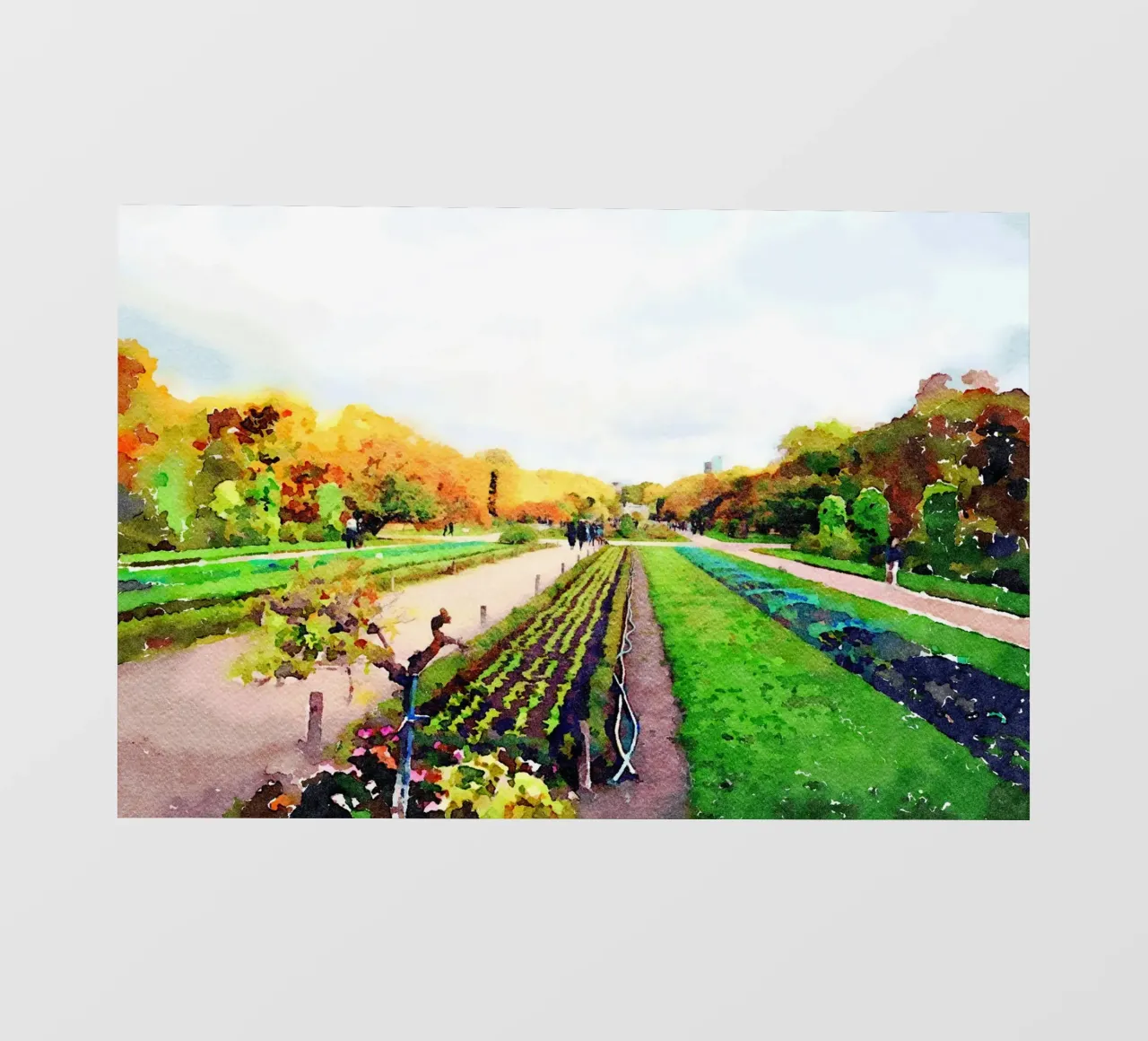 In Paris photo wallpaper by Massimo Frascogna