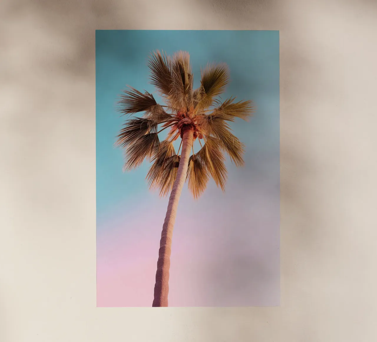 The Pastel Palm pellicola backlit da lennytravers