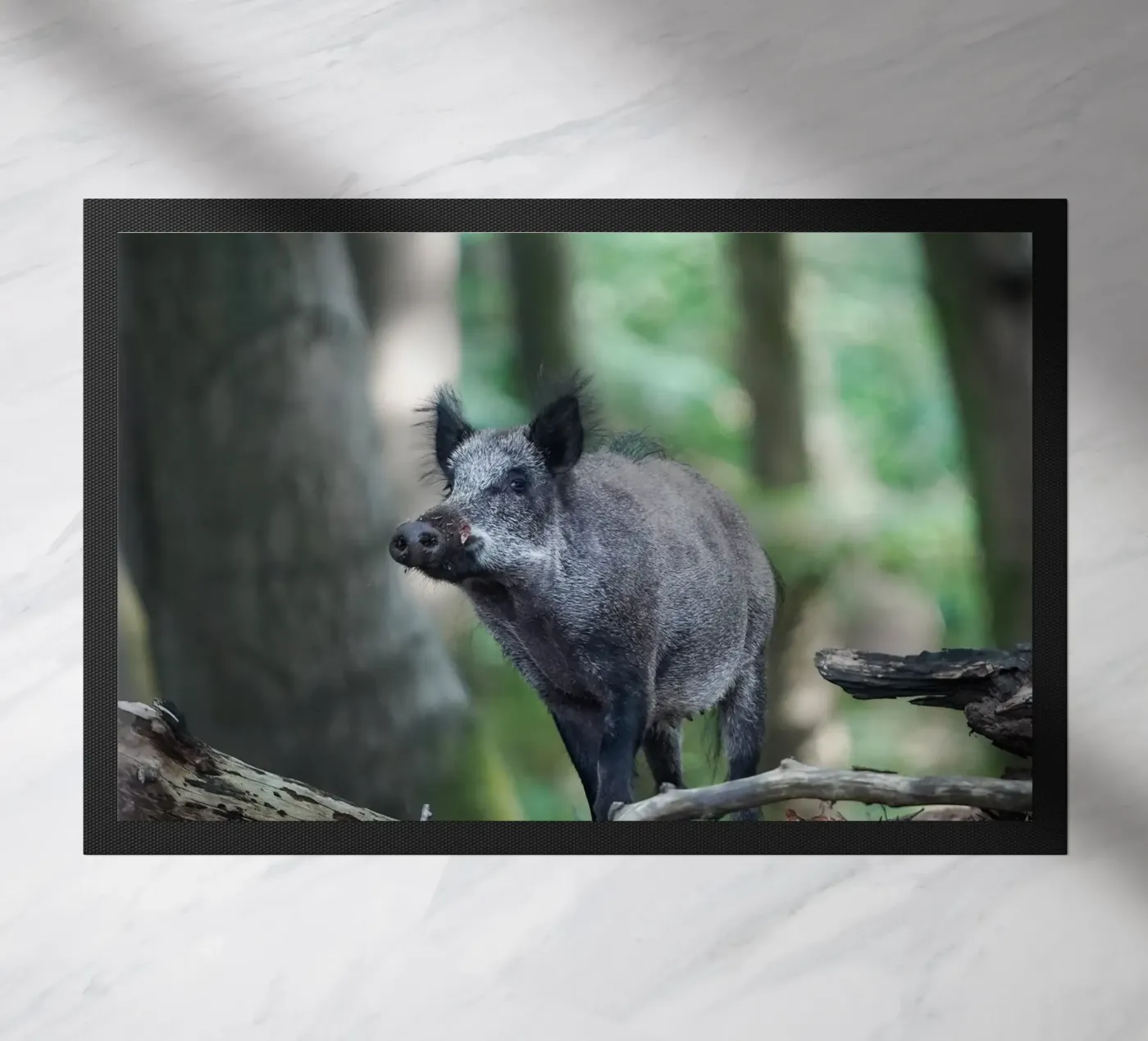 Wild Boar Fußmatte von Tom's Wildlife