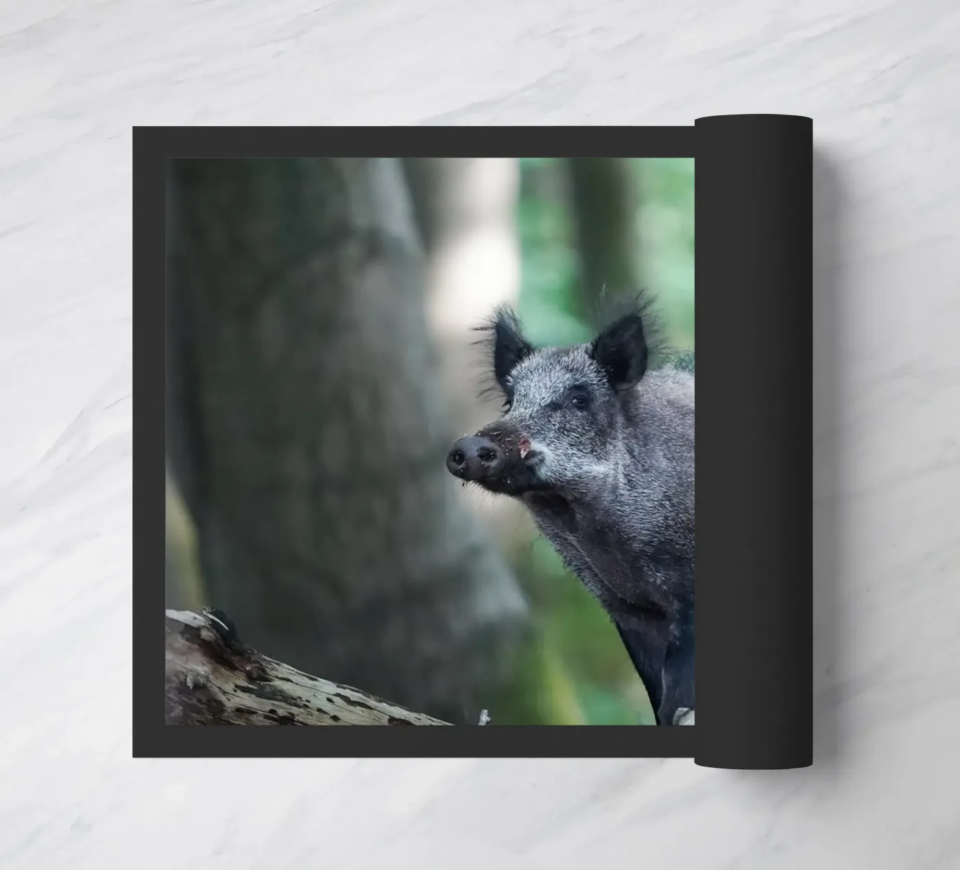 Wild Boar Fußmatte von Tom's Wildlife