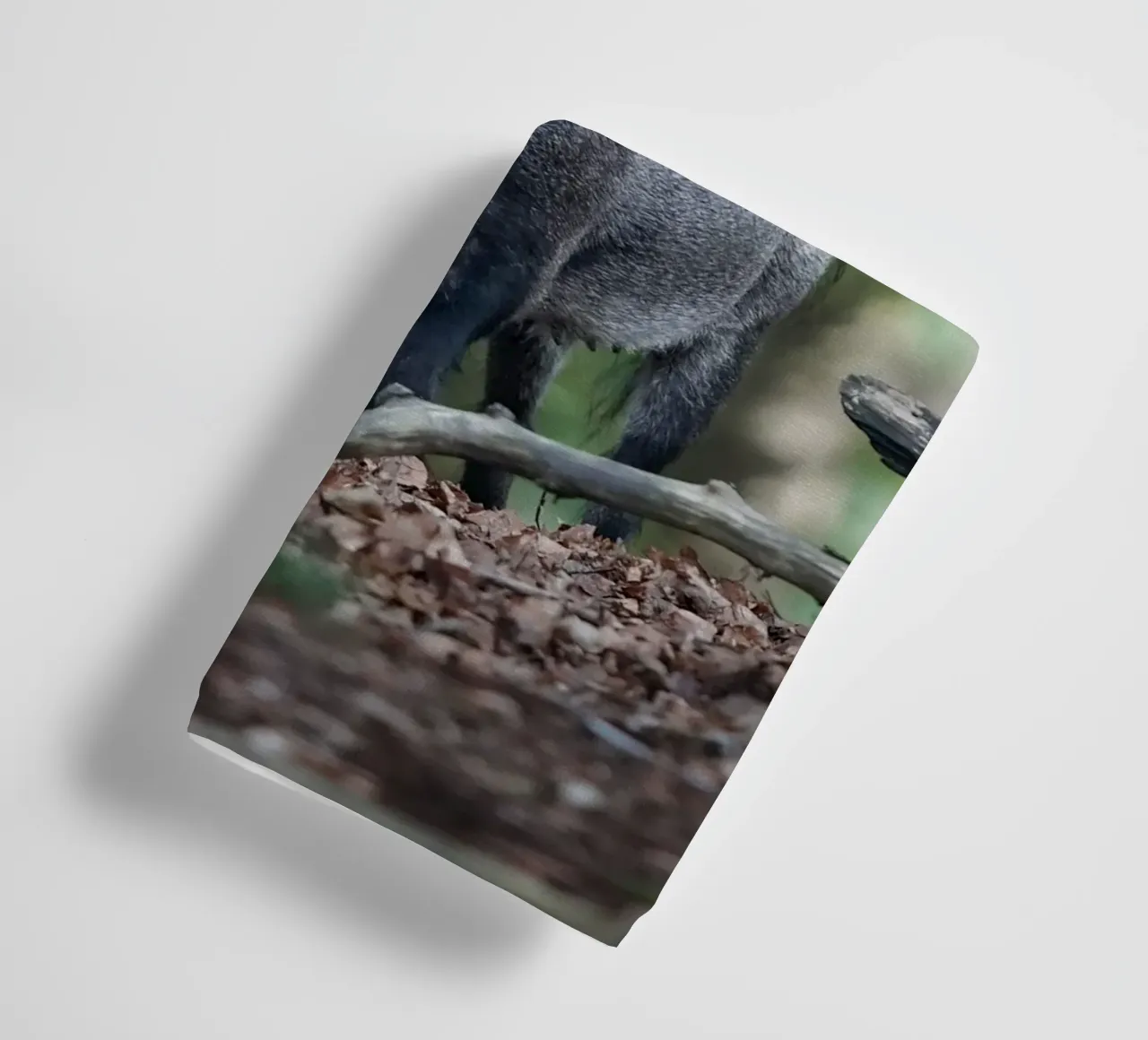 Wildschwein Handtuch von Tom's Wildlife