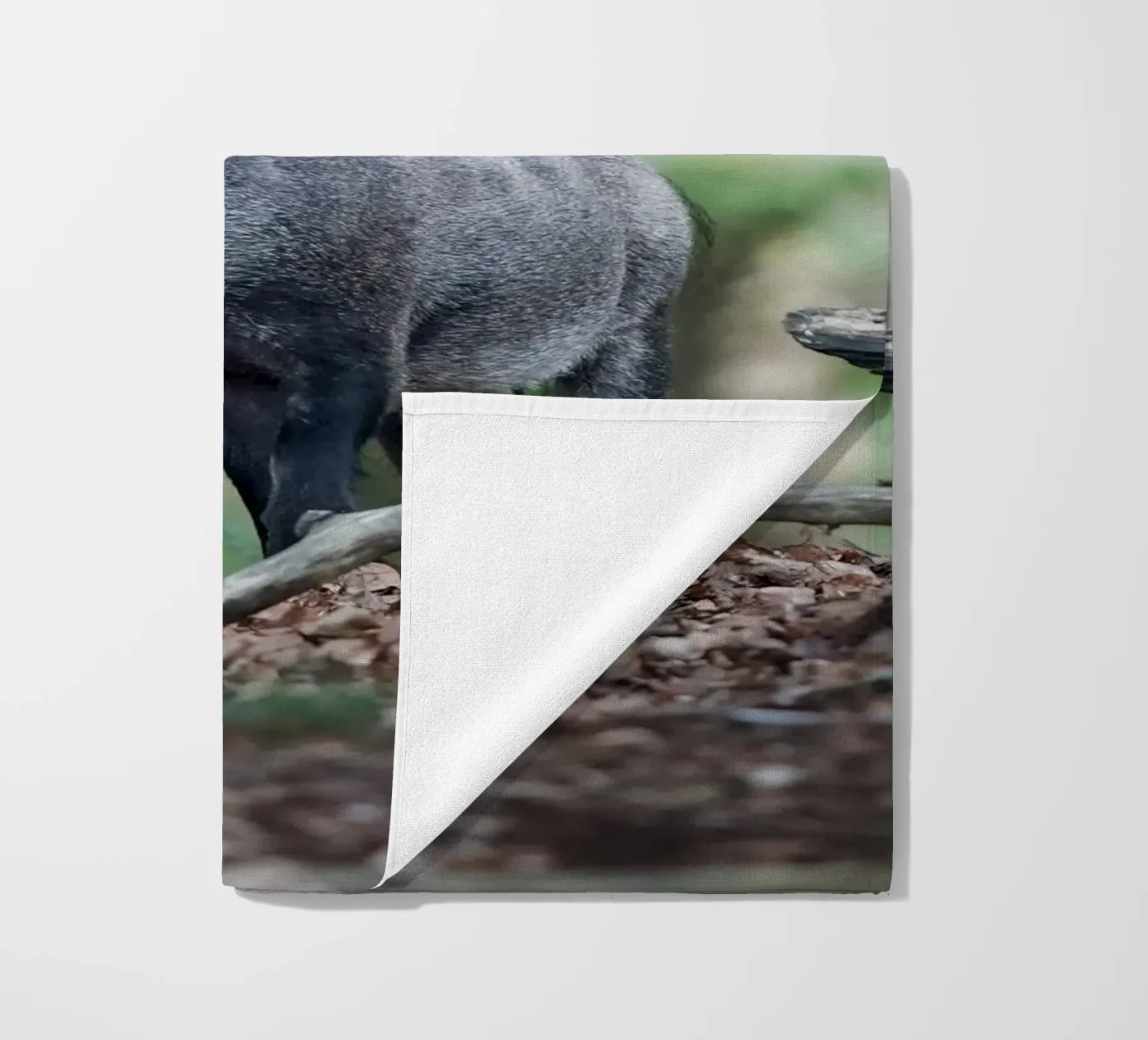 Wild Boar telo mare da Tom's Wildlife