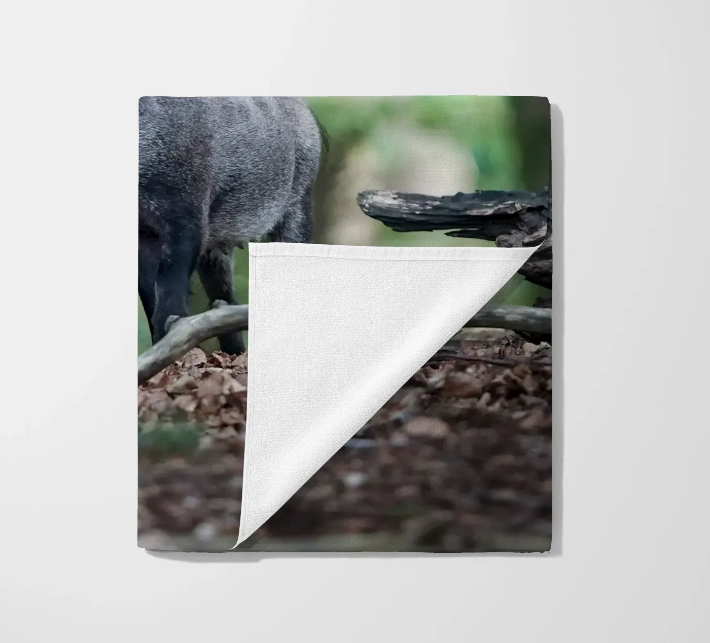 Wild Boar telo mare da Tom's Wildlife