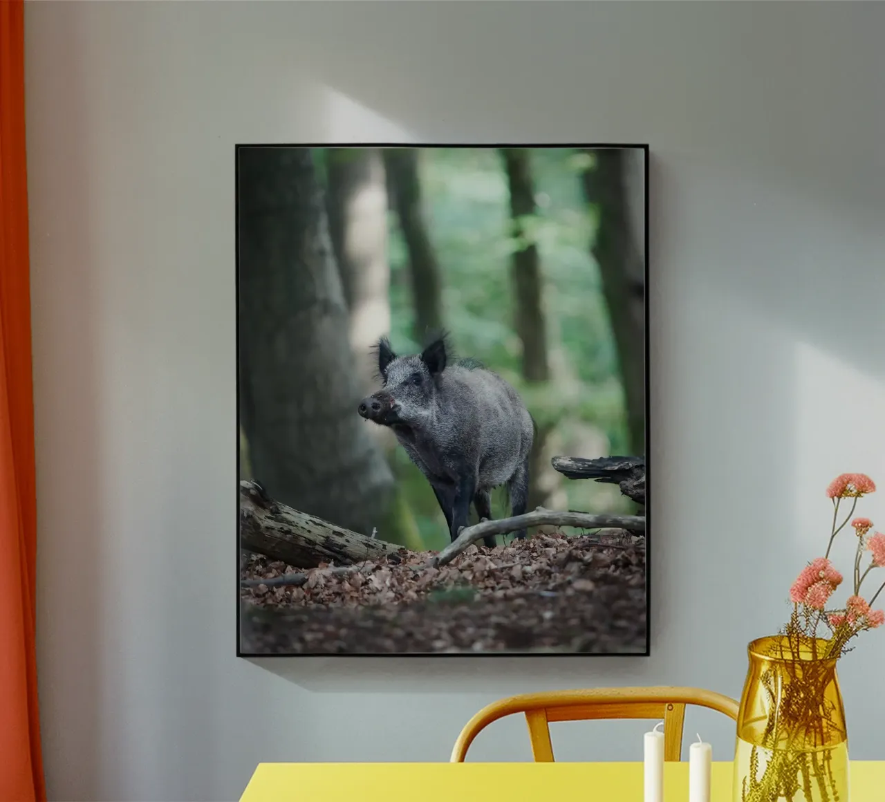 Wild Boar acrylic glass by Tom's Wildlife